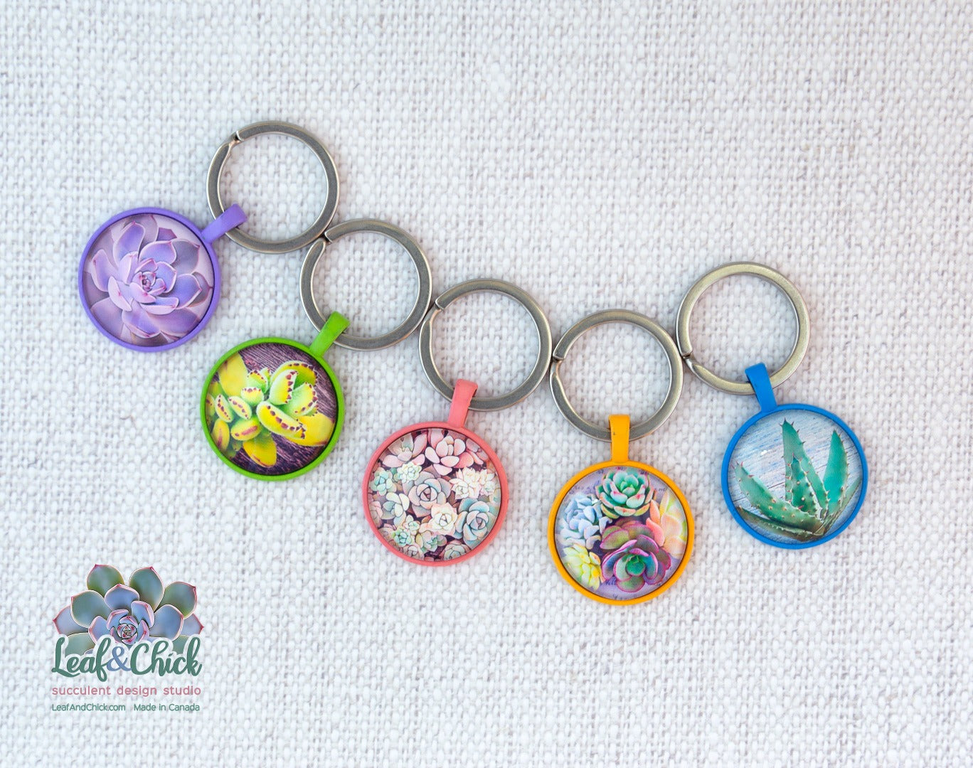 colourful succulent keychains with five colours to choose from