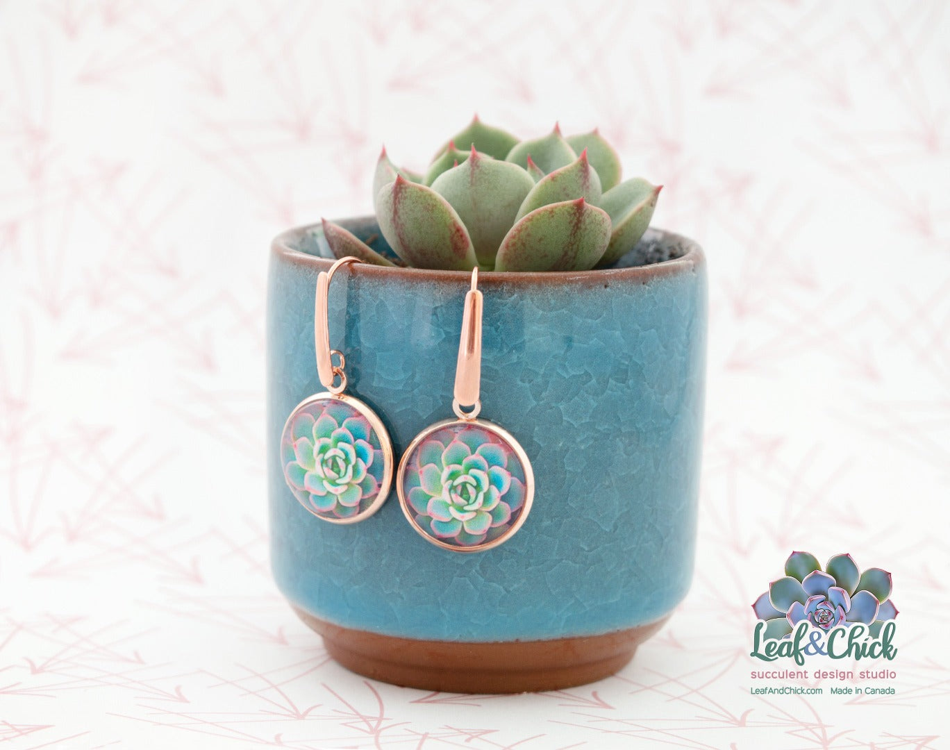 dangle hook rose gold echeveria art earrings hanging off the side of a potted succulent