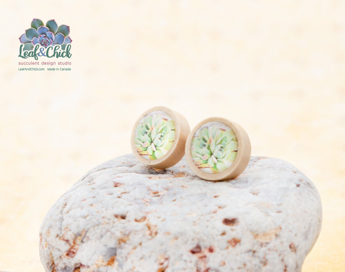 wooden succulent studs with green echeveria art