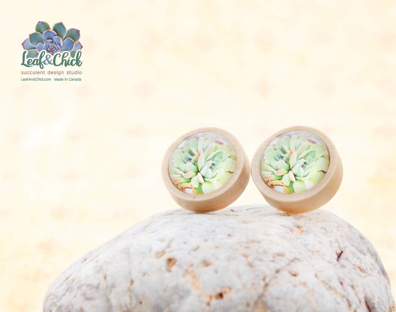 boho chic succulent studs