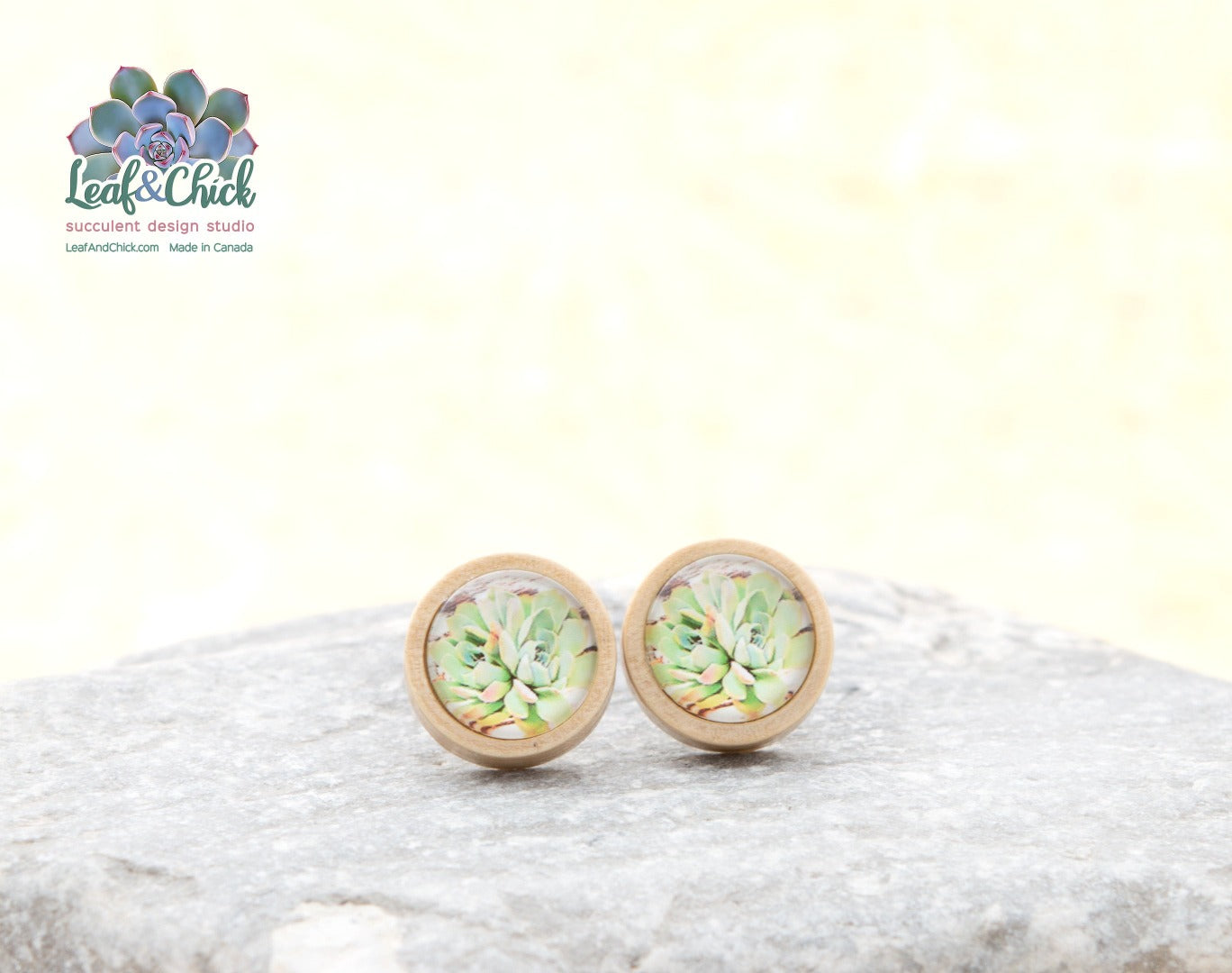 light wood succulent stud earrings