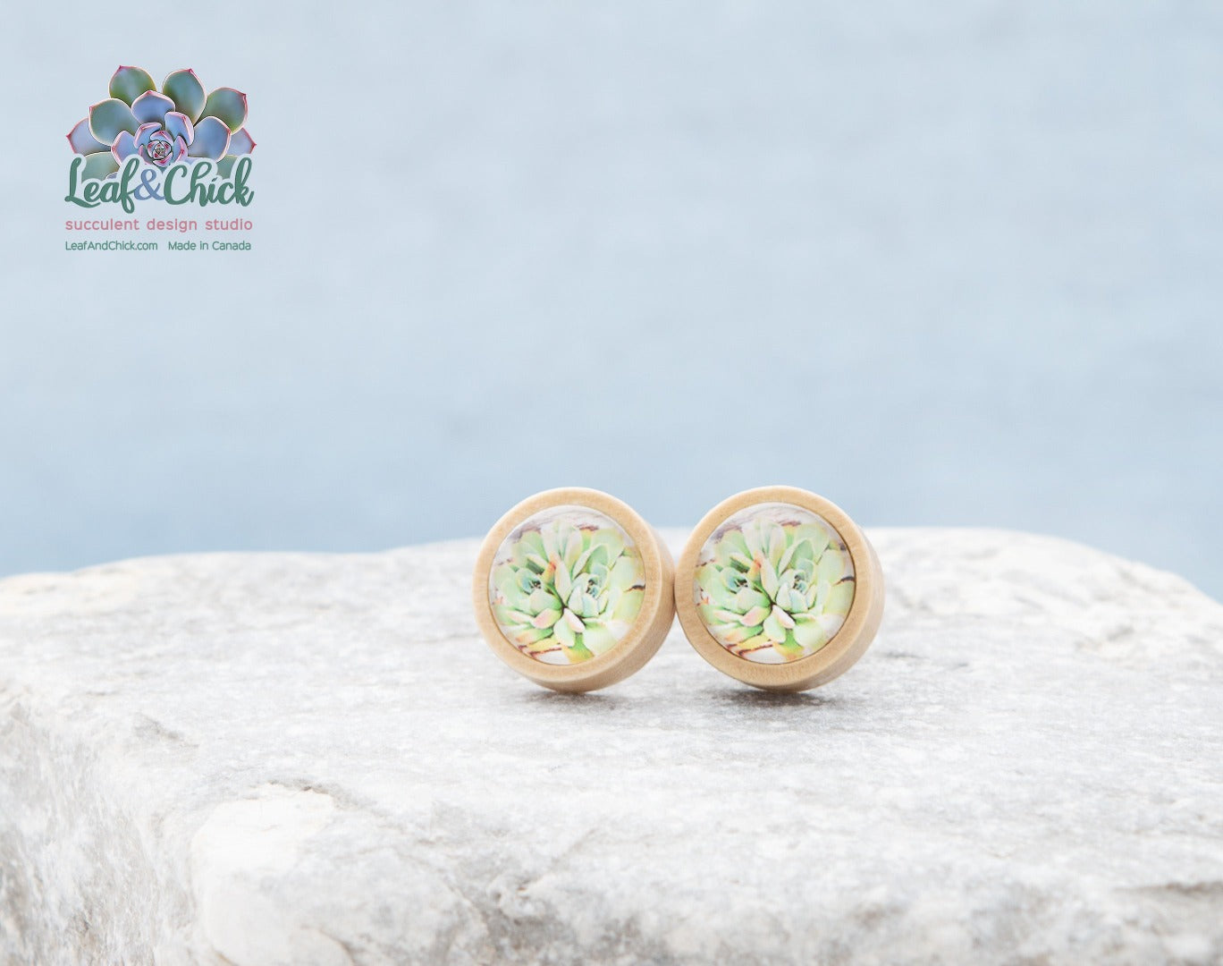 succulent art stud earrings