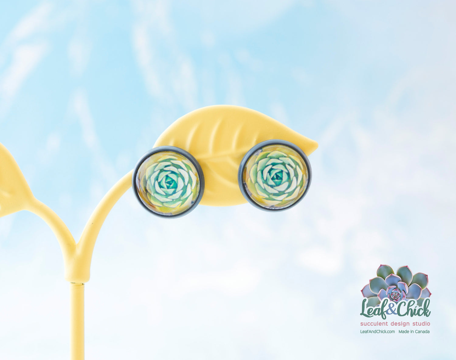 green and yellow succulent art in grey studs