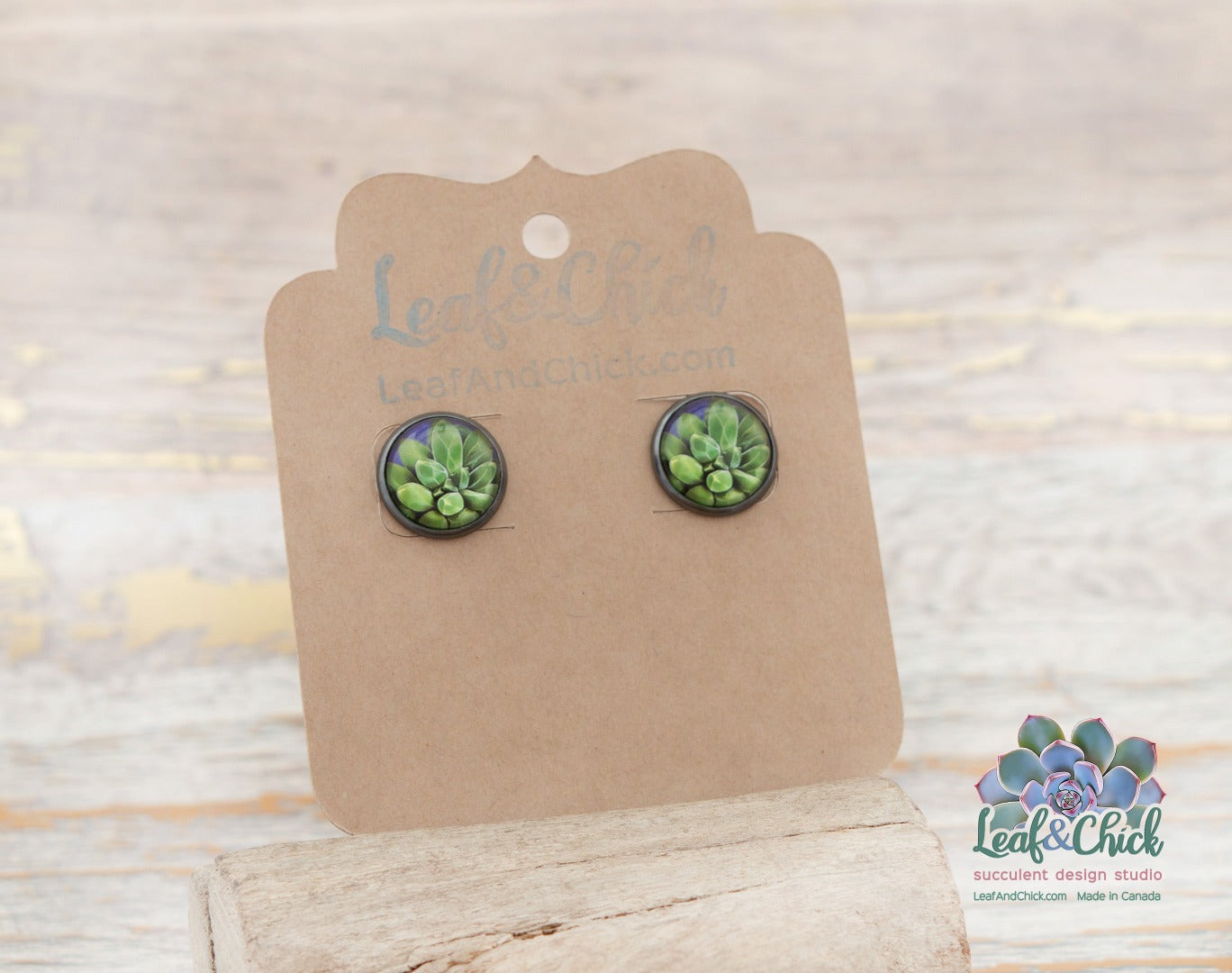 stones succulent art earrings in a gunmetal base