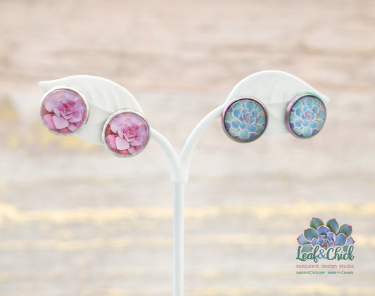 Stainless Steel Succulent Studs