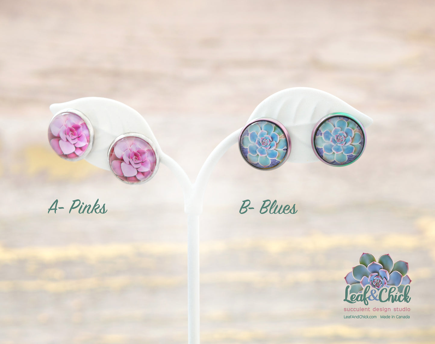 Stainless Steel Succulent Studs