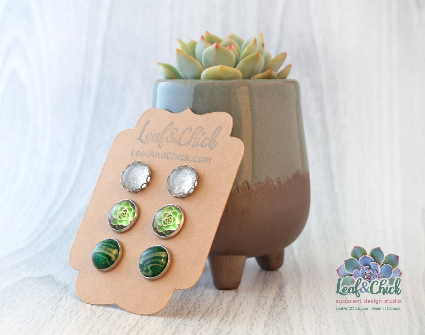 trio of stud earrings leaning against a succulent planter