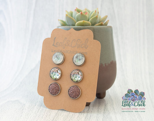 Succulent Art Trio Stud Set