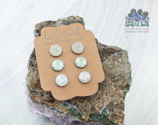 trio of stud earrings with a succulent art feature
