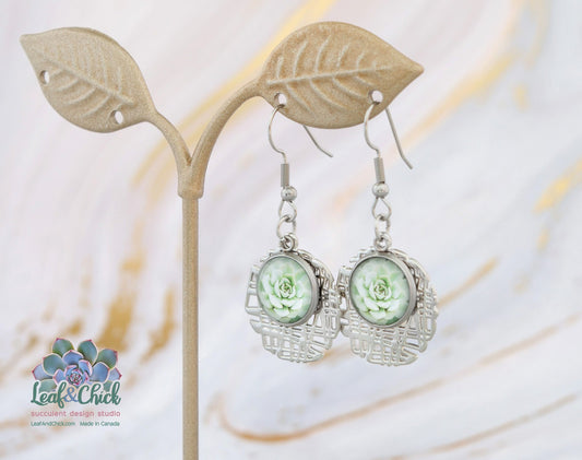 modern abstract circle earrings with succulent art