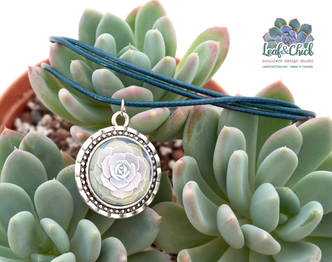 succulent pendant with stylized echeveria in an ornamental setting